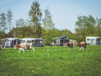 Boerderijcamping Den Hoek — Photo 8 of 12