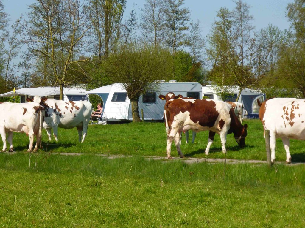 Boerderijcamping Den Hoek — Photo 2 of 12